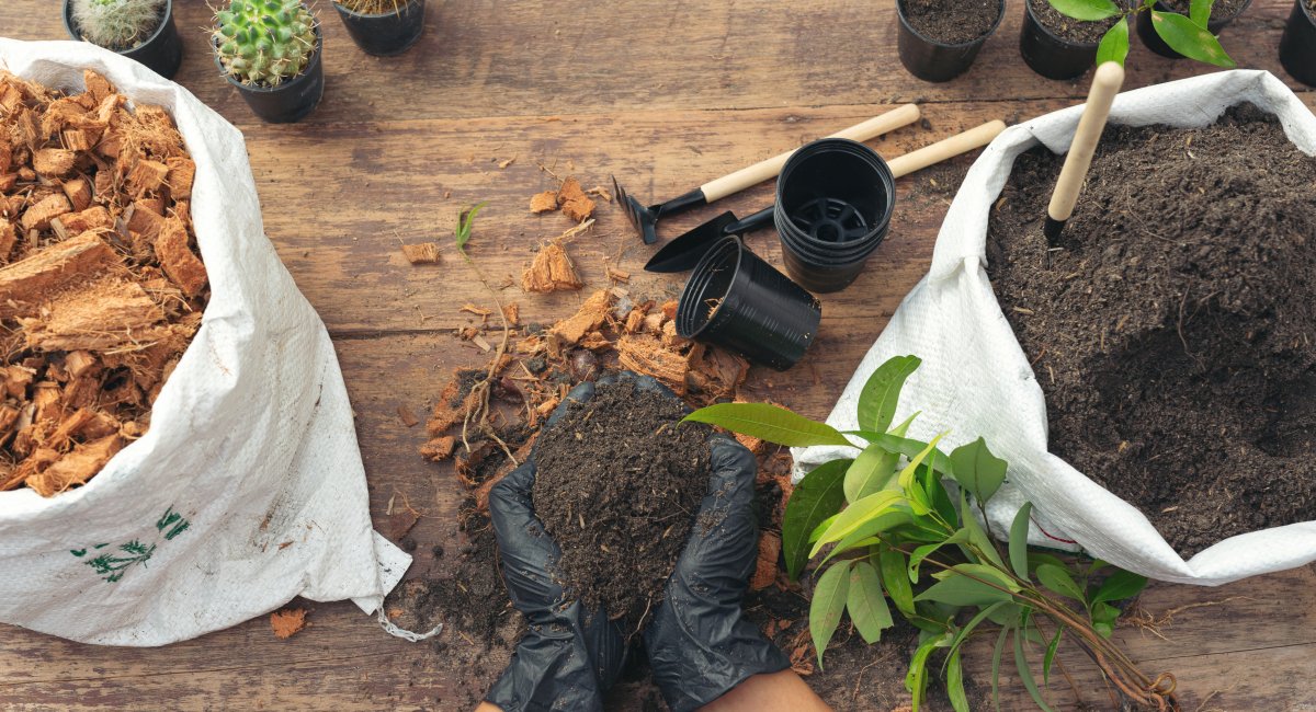 Gardening
