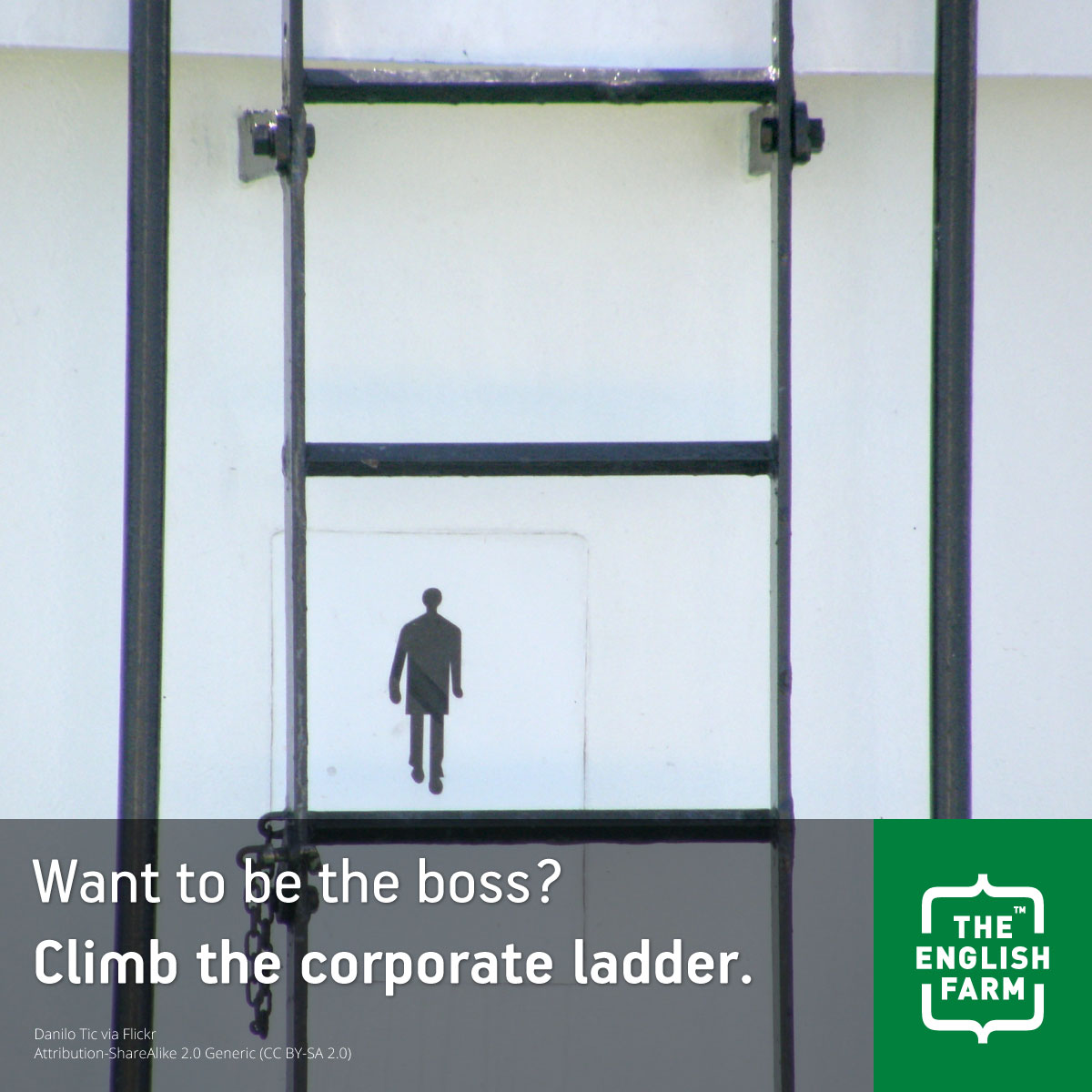 A man staring at a large ladder